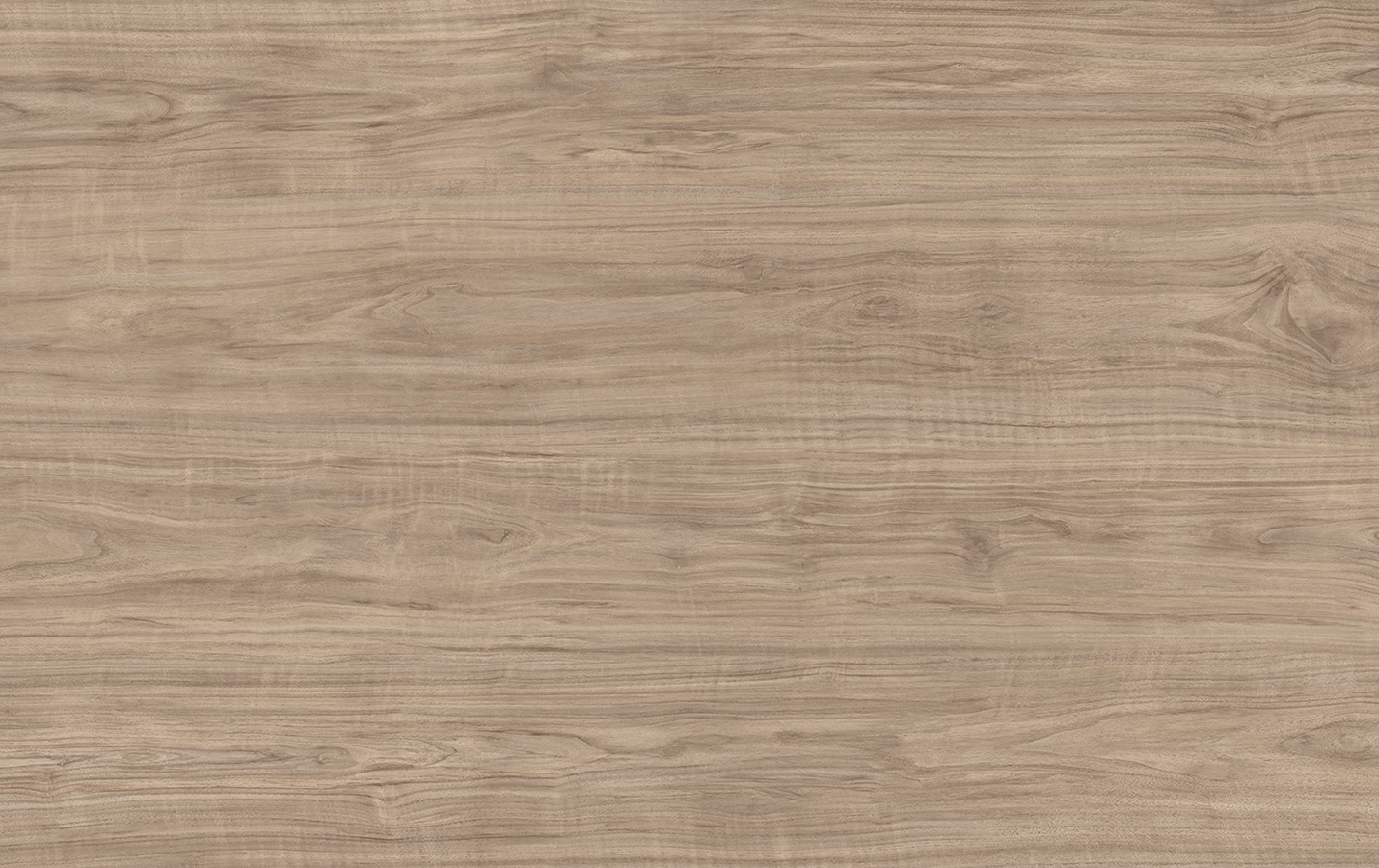 Persian Walnut